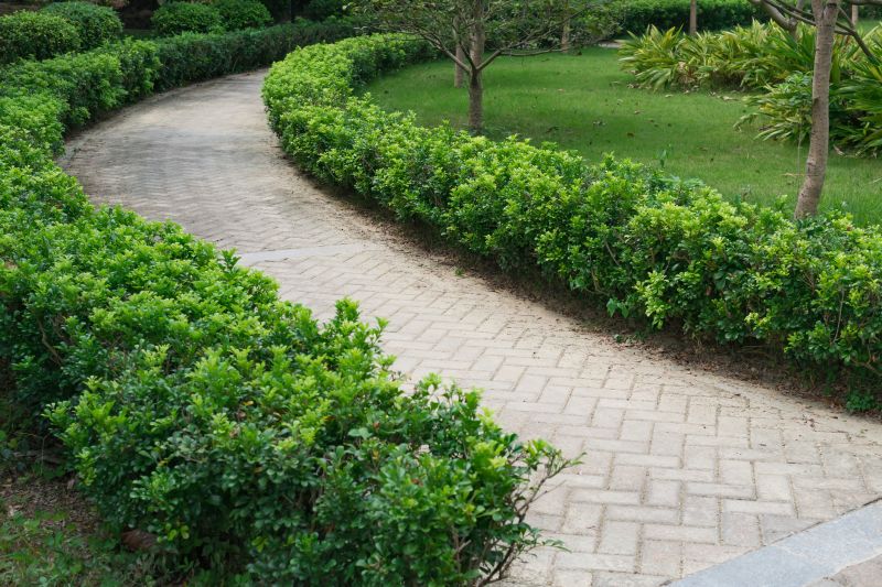 Landscaped Paver Space